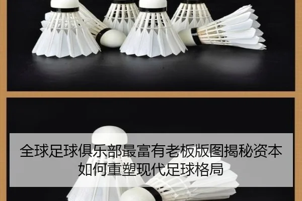 全球足球俱乐部最富有老板版图揭秘资本如何重塑现代足球格局