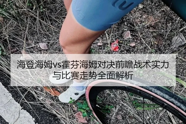 海登海姆vs霍芬海姆对决前瞻战术实力与比赛走势全面解析