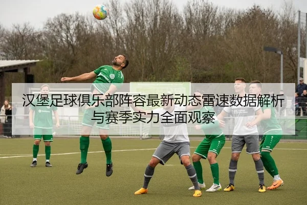 汉堡足球俱乐部阵容最新动态雷速数据解析与赛季实力全面观察