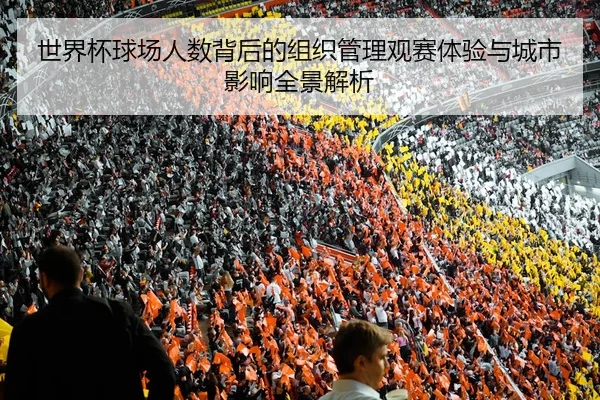 世界杯球场人数背后的组织管理观赛体验与城市影响全景解析